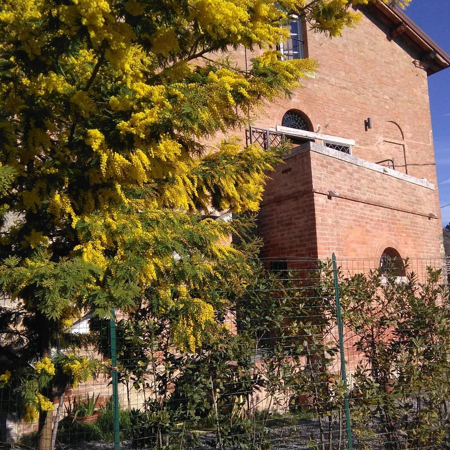 L'Albero Di Gameli Bed and Breakfast Chiusi Eksteriør billede